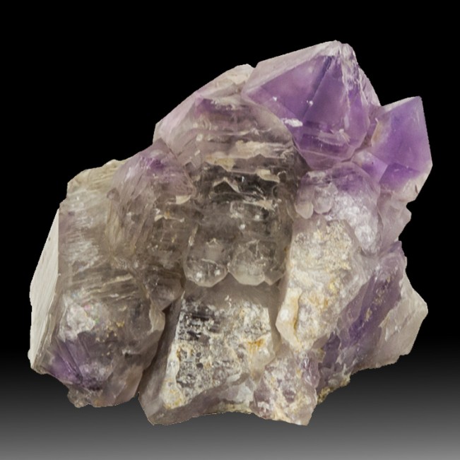 5.8" Big Head Sceptered Purple AMETHYST Gemmy Crystal Cluster Kenya for sale