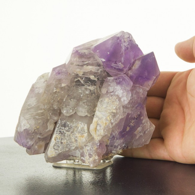 5.8" Big Head Sceptered Purple AMETHYST Gemmy Crystal Cluster Kenya for sale