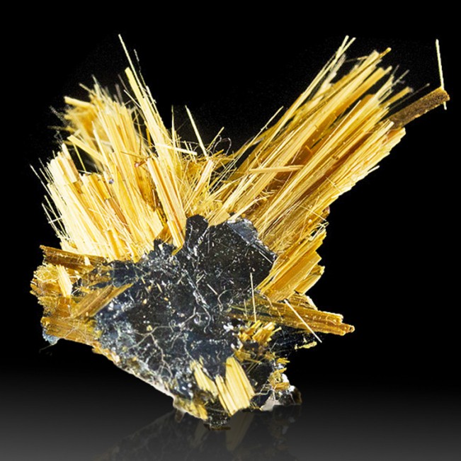 1.1" Golden RUTILE Needles Shooting from HEMATITE Double Crystal Brazil for sale