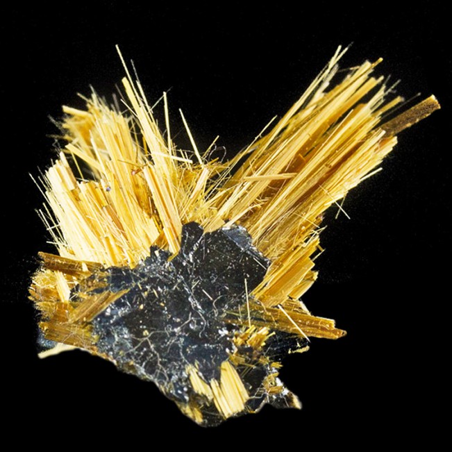 1.1" Golden RUTILE Needles Shooting from HEMATITE Double Crystal Brazil for sale