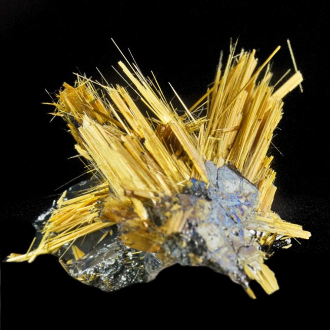 1.1" Golden RUTILE Needles Shooting from HEMATITE Double Crystal Brazil for sale