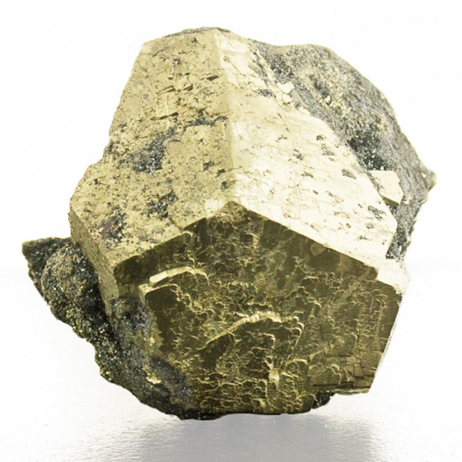 2.9" Gleaming Golden PYRITE CRYSTAL on Black Hematite Elba Island Italy for sale