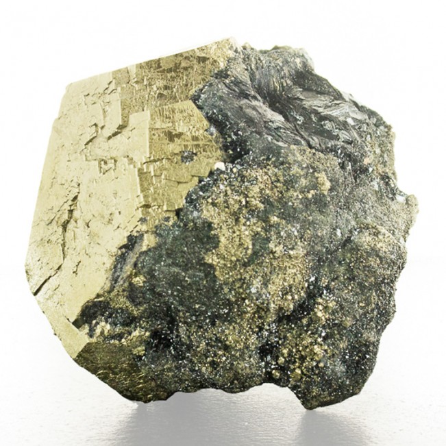 2.9" Gleaming Golden PYRITE CRYSTAL on Black Hematite Elba Island Italy for sale