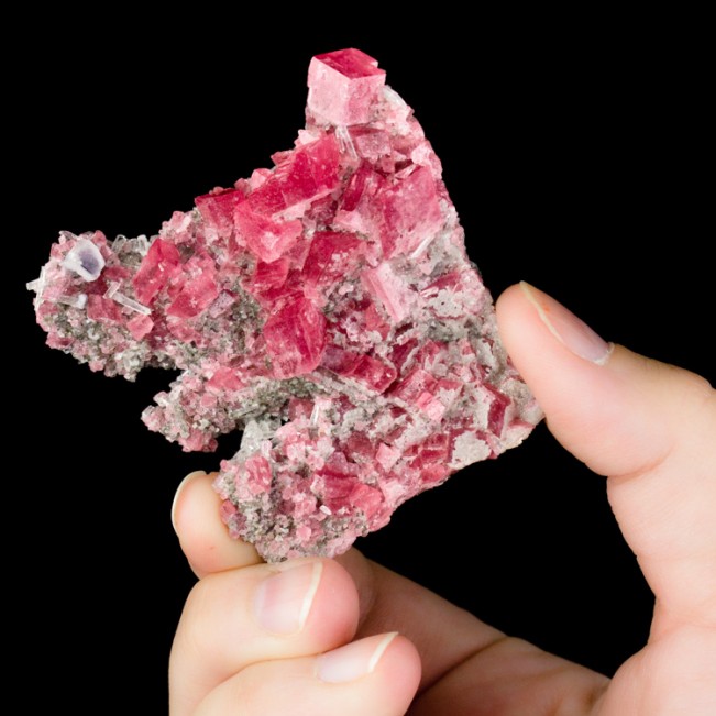 3" Vibrant Cherry Red RHODOCHROSITE Crystals +Quartz Sweet Home Mine CO for sale