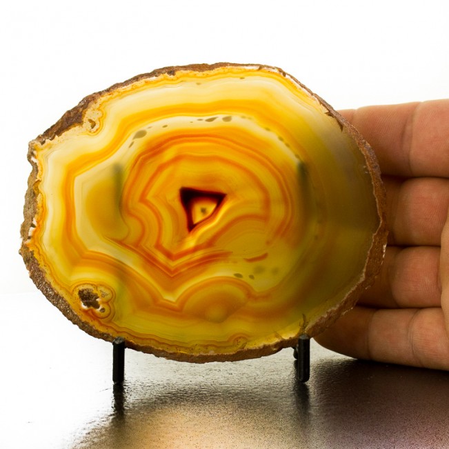 4.8" LAGUNA AGATE RedOrangeWhite Concentric Bands Polished Slice Mexico for sale