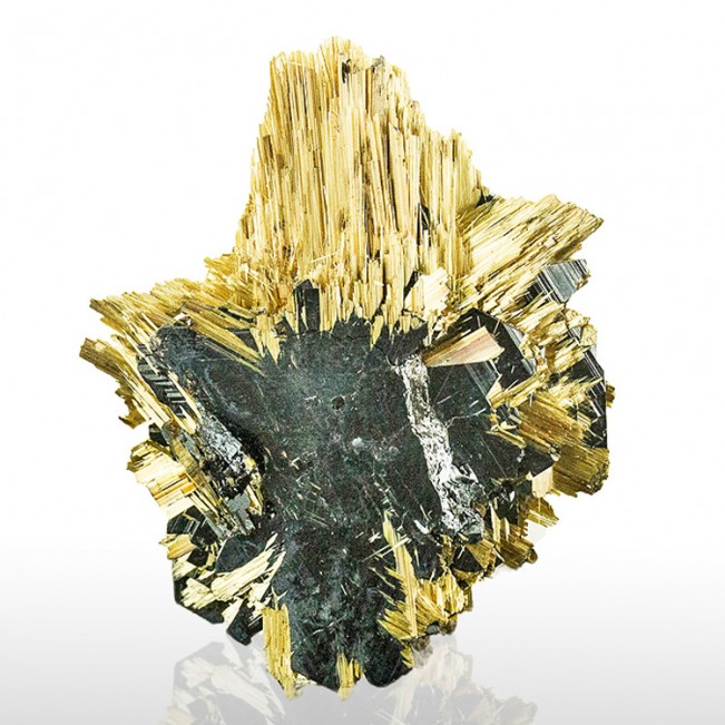 1.6" Fine Radiating GOLDEN RUTILE Epitactic on HEMATITE Crystals Brazil for sale
