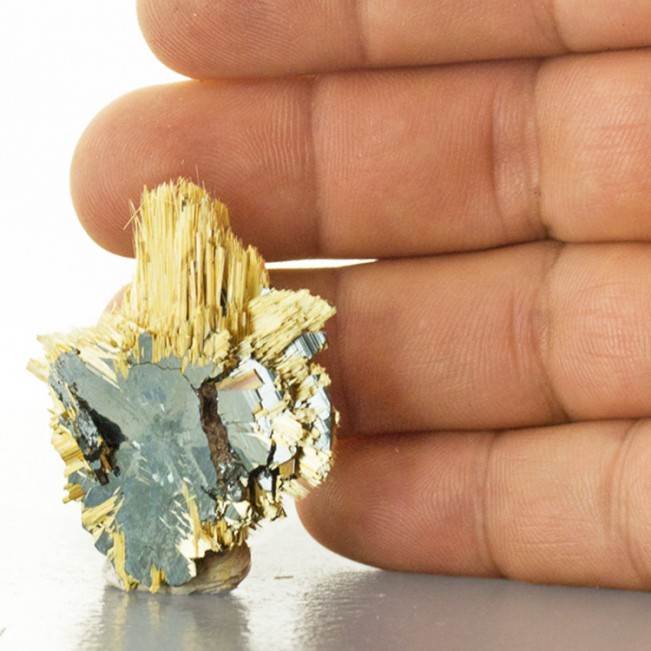 1.6" Fine Radiating GOLDEN RUTILE Epitactic on HEMATITE Crystals Brazil for sale
