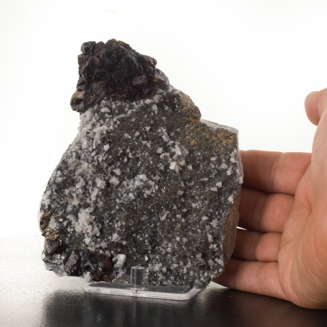 5.5" Shiny Brown SPHALERITE Crystals to .7" on Dolomite+Quartz Missouri for sale