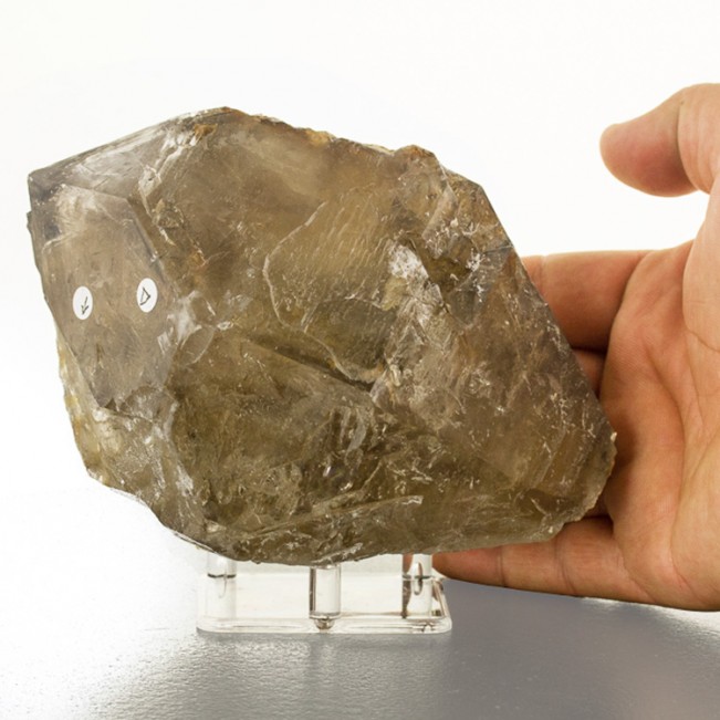 6.1" Enhydro Skeletal SMOKY QUARTZ Crystal with Record Keepers Brazil for sale