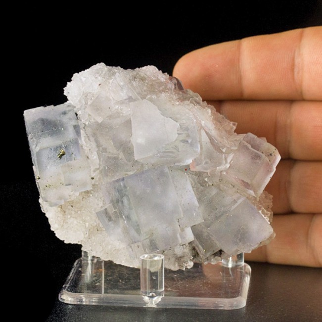 3.6" Sharp Pale Blue Cubic FLUORITE Crystals w/Purple Phantoms Spain for sale