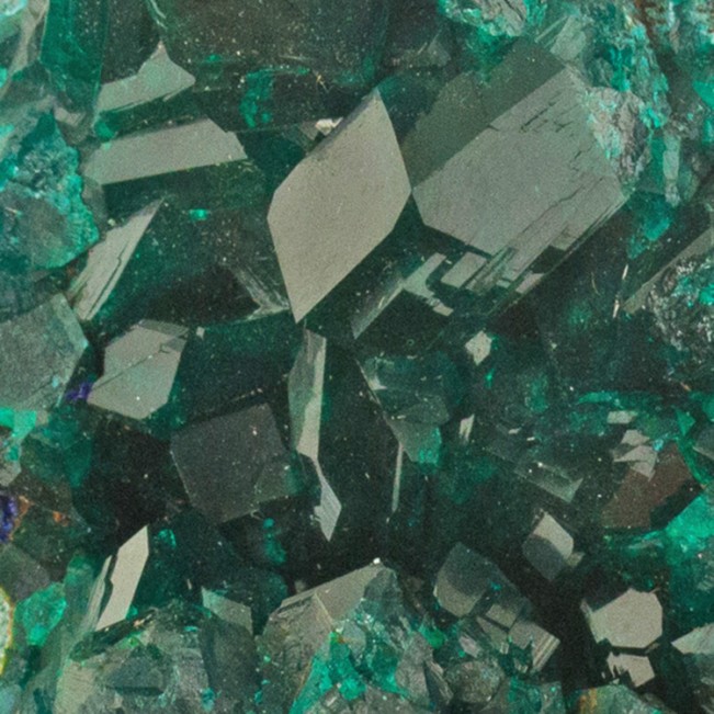 2.7" Forest Green Wet-Look DIOPTASE Crystals to .9" Inside Vug Congo for sale
