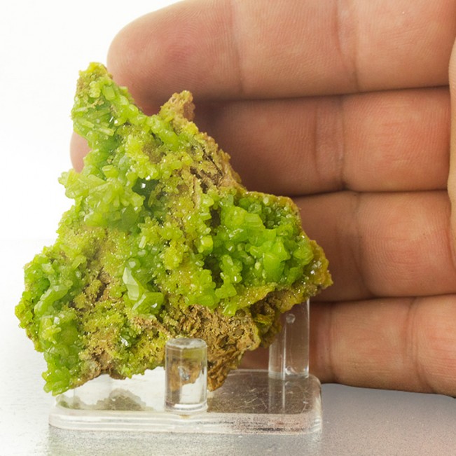 2.6" Aesthetic Bright AppleGreen PYROMORPHITE Terminated Crystals China for sale