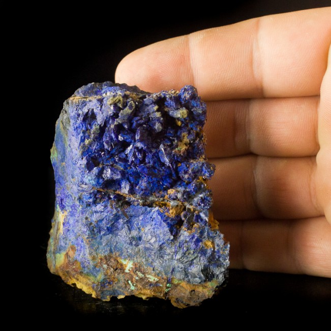 2.6" Flashy Ultramarine Blue AZURITE CRYSTALS to .3" on Matrix Congo for sale