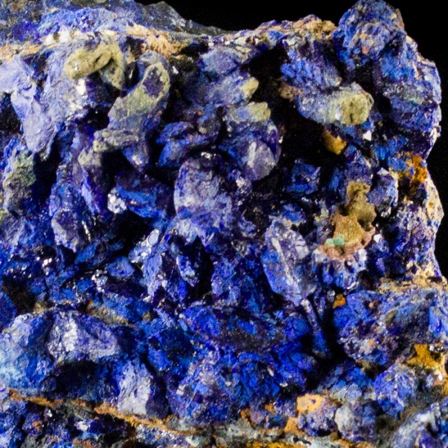 2.6" Flashy Ultramarine Blue AZURITE CRYSTALS to .3" on Matrix Congo for sale