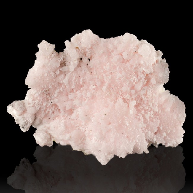 2.7" Soft Pink KUTNAHORITE Botryoidal Crystals FL Rich Orange So.Africa for sale