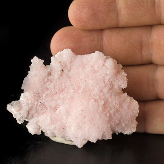 2.7" Soft Pink KUTNAHORITE Botryoidal Crystals FL Rich Orange So.Africa for sale
