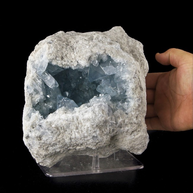 9.8" Glassy Sky Blue CELESTITE Gem Crystals Inside a Geode Madagascar for sale