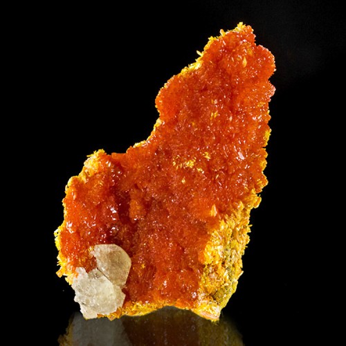 2.8" Red-Hot Red-Orange ORPIMENT Crystals tha...