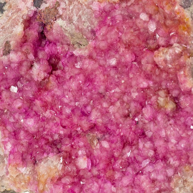 2.9" Hot Magenta Pink COBALTOAN CALCITE Gem Crystals No Damage Morocco for sale