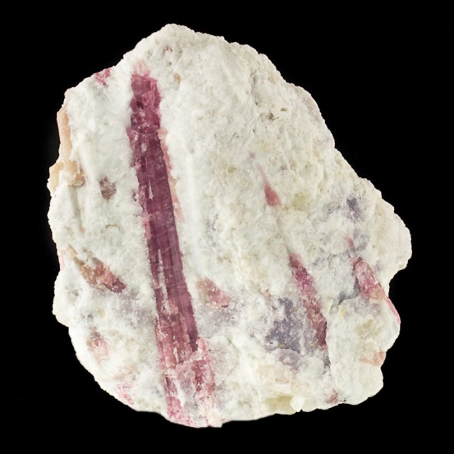 5.7" Dramatic Magenta PINK TOURMALINE Crystals in Milky Quartz Brazil for sale