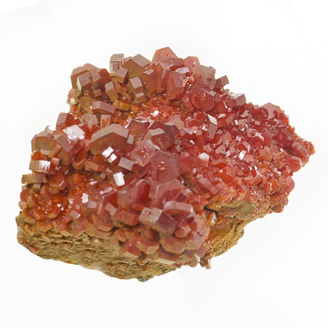 1.7" Flashy Red VANADANITE on Matrix w/Whopping Crystals to 8mm Morocco for sale