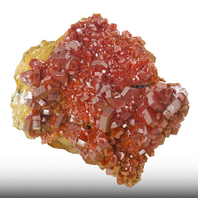1.7" Flashy Red VANADANITE on Matrix w/Whopping Crystals to 8mm Morocco for sale