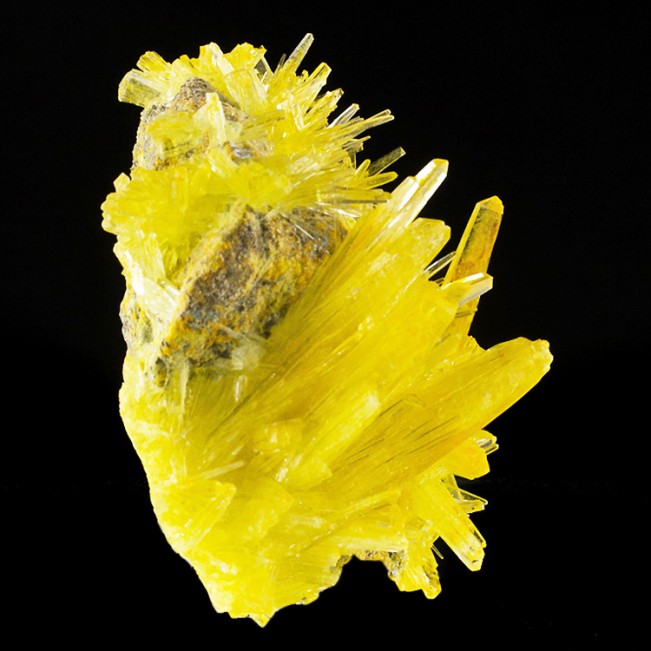 3.9" AMMONIUM MANGANESE PHOSPHATE Crystals in RichSunshineYellow Poland for sale