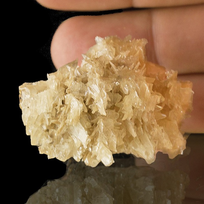 1.7" Clear/Tan RETICULATED "SNOWFLAKE" CERUSSITE Sixling Twin Crystals Iran or sale