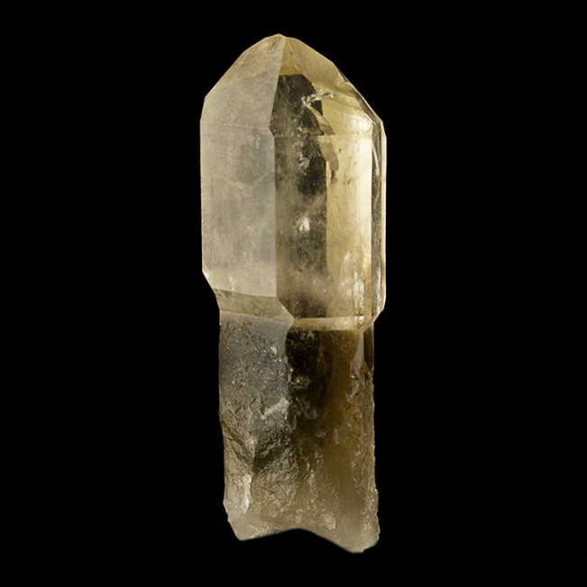 2.3" Clear-Tip Smoky-Shaft SCEPTERED QUARTZ Crystal Hallelujah Jnctn NV for sale