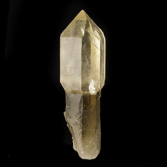 2.3" Clear-Tip Smoky-Shaft SCEPTERED QUARTZ Crystal Hallelujah Jnctn NV for sale