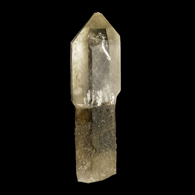 2.3" Clear-Tip Smoky-Shaft SCEPTERED QUARTZ Crystal Hallelujah Jnctn NV for sale