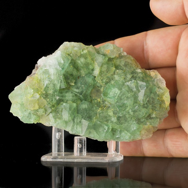 4.1" SeeThru CokeBottle Green GEM FLUORITE Sharp Cubic Crystals Namibia for sale