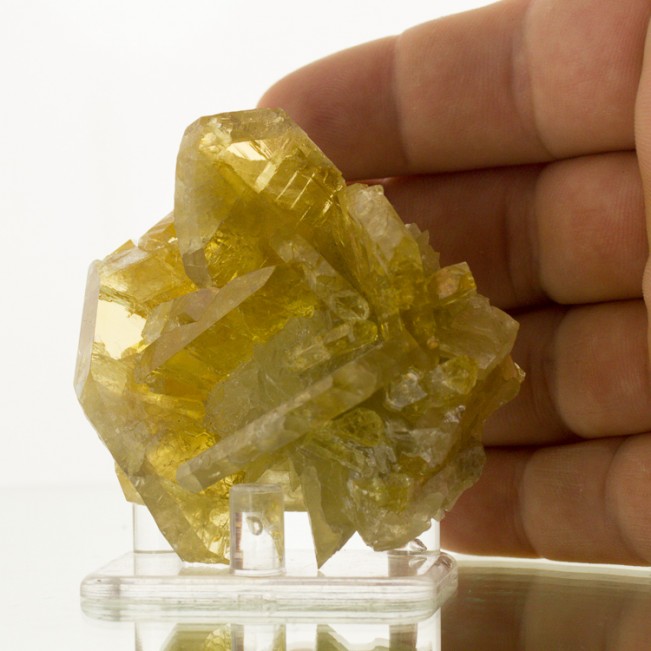 2.6" Meikle Mine GOLDEN BARITE Pristine Gemmy Wet-Look Crystals Nevada for sale