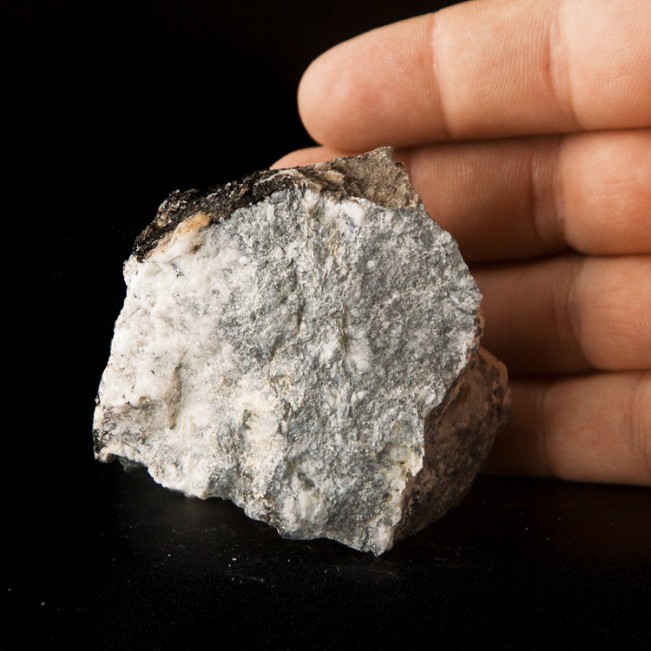 2.3" Metallic SilverGray Crystals NATIVE ANTIMONY in Quartz Nova Scotia for sale