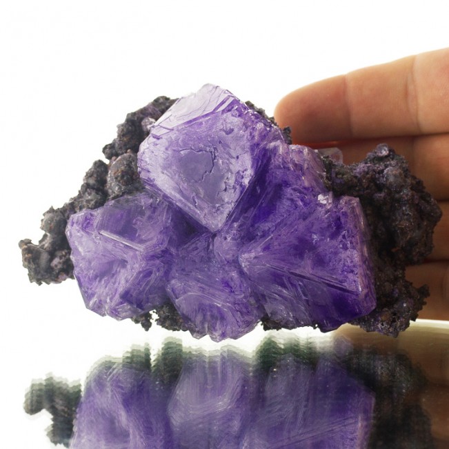 5" Fruity Grape Purple-Violet ALUM Octahedral Skeletal Crystals Poland for sale