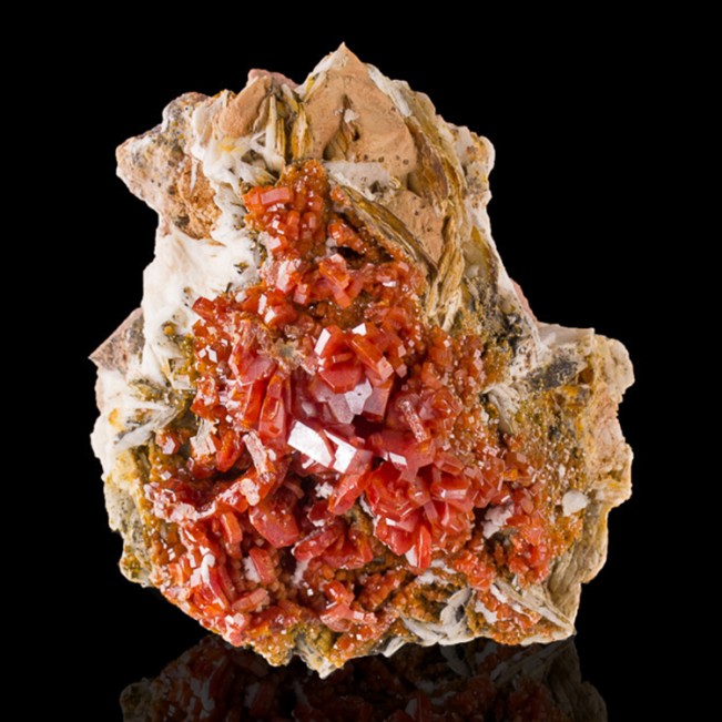 3.8" Bright Red VANADANITE Crystals on Barite w/White Aragonite Morocco for sale