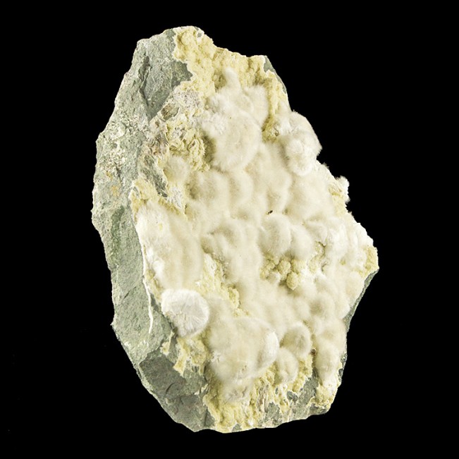 8.5" Puffy White OKENITE Radiating Crystal Balls on Basalt Matrix India for sale