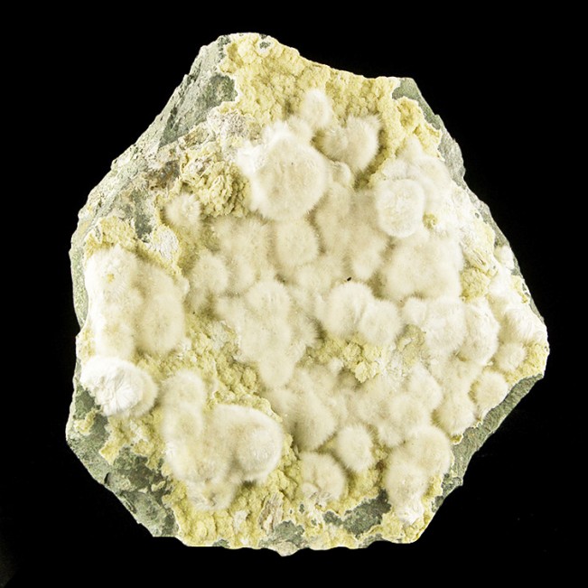 8.5" Puffy White OKENITE Radiating Crystal Balls on Basalt Matrix India for sale