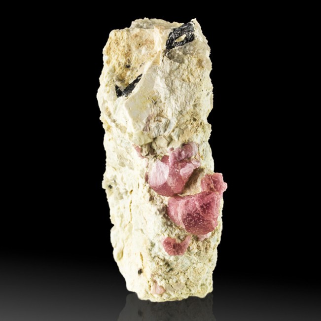 3.4" Gemmy Magenta Red MUSHROOM TOURMALINE Crystal Group on Matrix Burma for sale