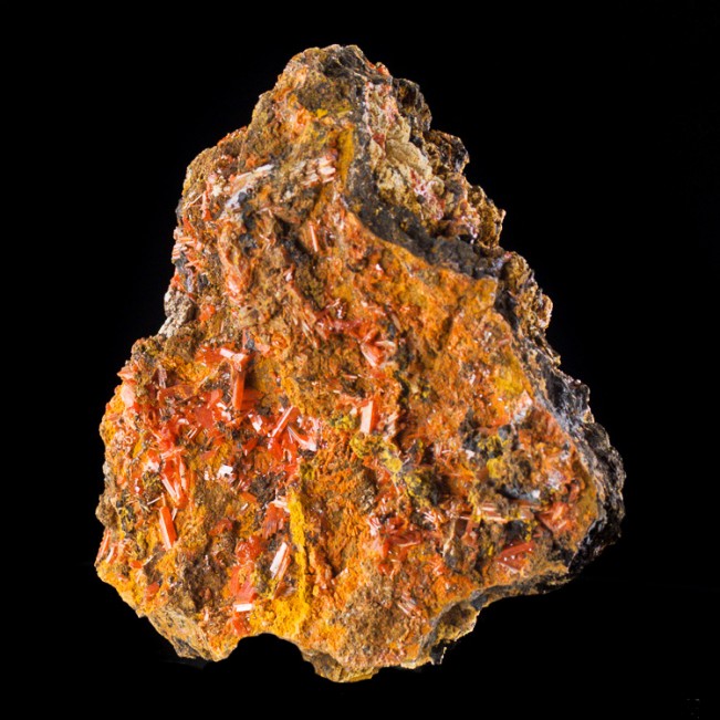 4.6" Red Lead Mine Flashy Crimson CROCOITE Crystals on Matrix Tasmania for sale