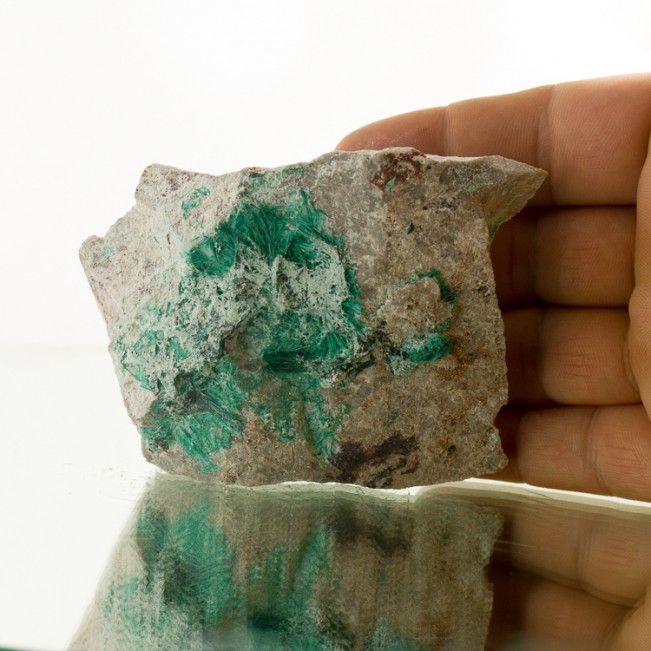 3.8" Milpillas Mine BROCHANTITE Brilliant Green Acicular Hairy Crystals for sale