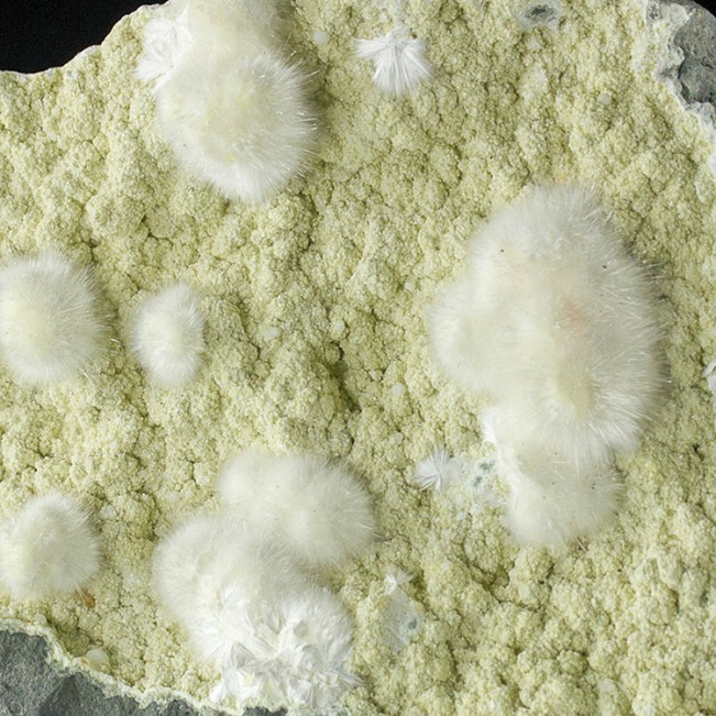 7.1" OKENITE PUFFBALLS >20Sparkly Spheres on Gyrolite Over Basalt India for sale