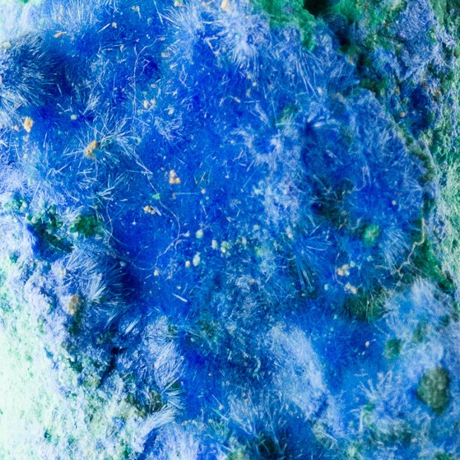 1" Electric Blue CYANOTRICHITE Crystals Grand View Mine Grand Canyon AZ for sale