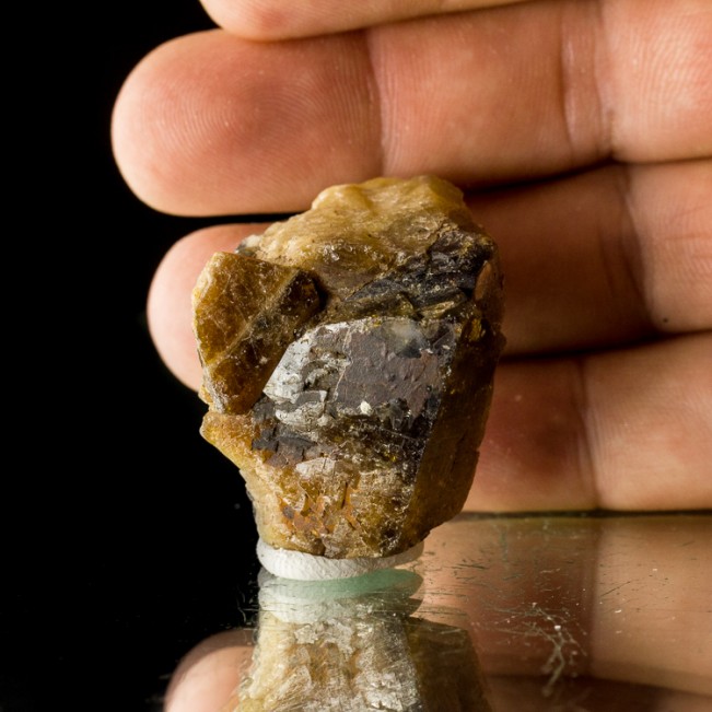 1.7" Gemmy Golden Brown SCHEELITE Crystals Tae Hwa Mine South Korea for sale