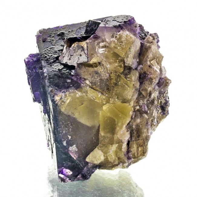 2.6" Classic Yellow&Purple FLUORITE Sharp Smooth Cubic Crystal Illinois for sale