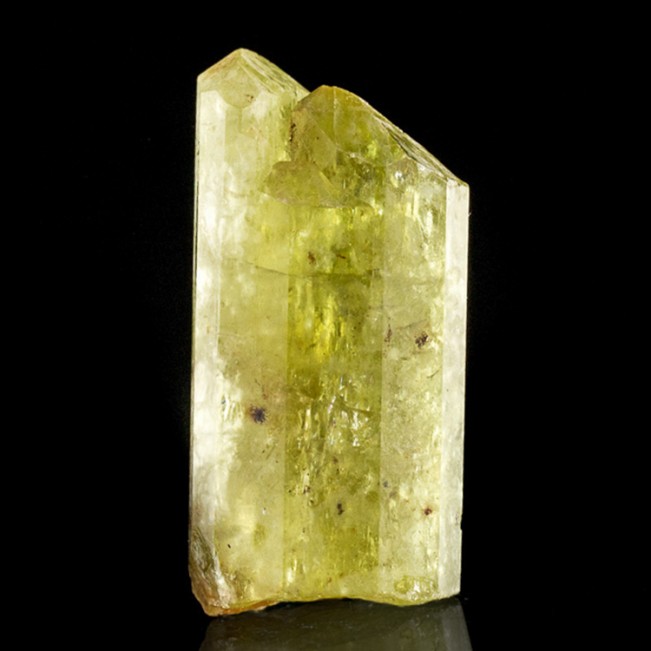 2" Gemmy Yellow GOLDEN APATITE Shiny Crystal Complex Termination Mexico for sale