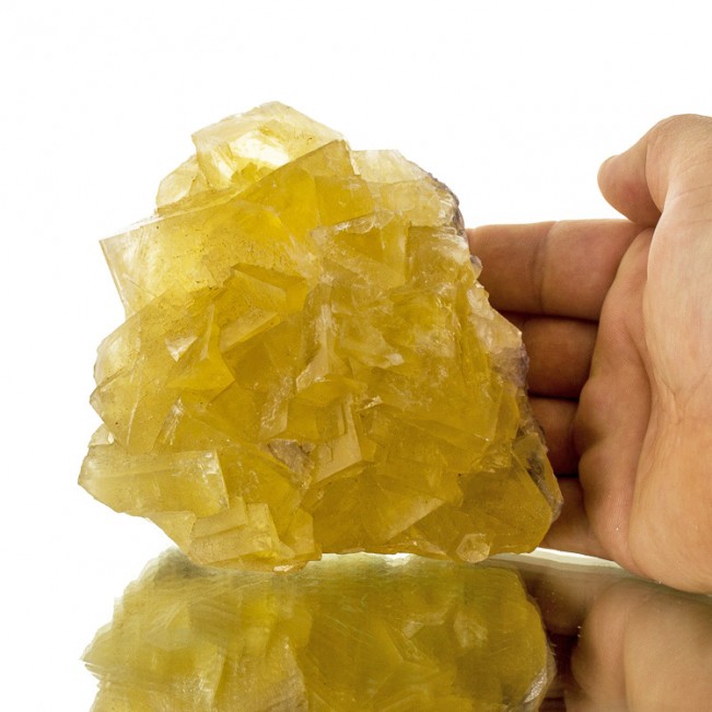 5.5" Sunny Yellow Gem FLUORITE Glassy Crystals to1.5" RazorSharp France for sale