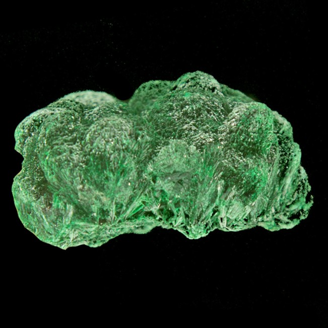 2.2" FIBROUS MALACHITE SilkyDarkGreen Chatoyant Crystals Pristine Congo for sale