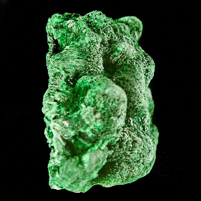 2.2" FIBROUS MALACHITE SilkyDarkGreen Chatoyant Crystals Pristine Congo for sale