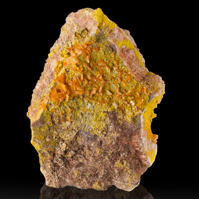 3.3" Orange WULFENITE Crystals to 3mm on Green Mimetite Rowley Mine AZ for sale
